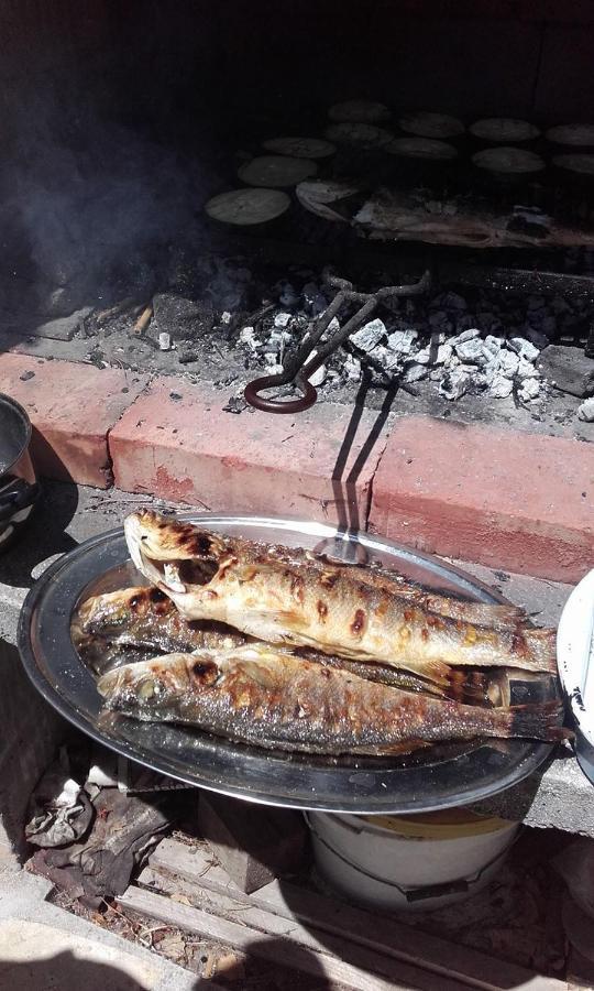 Apartmani Tatjana Okrug Gornji Dış mekan fotoğraf